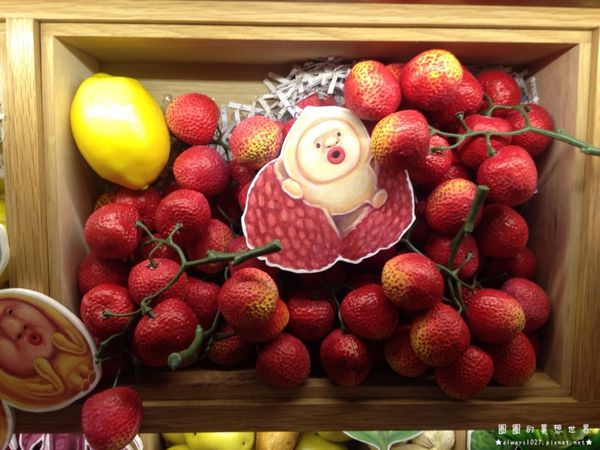 醜比頭_3298.jpg 醜比頭_3298.jpg