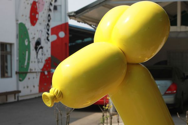 IMG_6798.JPG IMG_6798.JPG