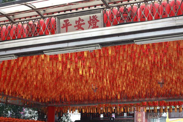 IMG_6871.JPG IMG_6871.JPG