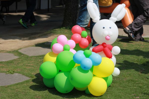 IMG_6807.JPG IMG_6807.JPG