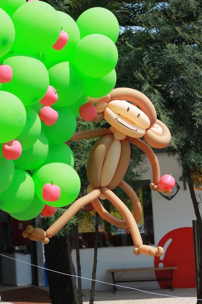 IMG_6809.JPG IMG_6809.JPG