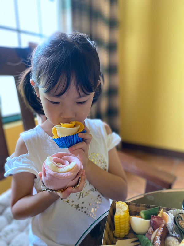 鹿野住宿新推薦!台東鹿野森活民宿,一次看到熱氣球、飛行傘,美景盡收眼底