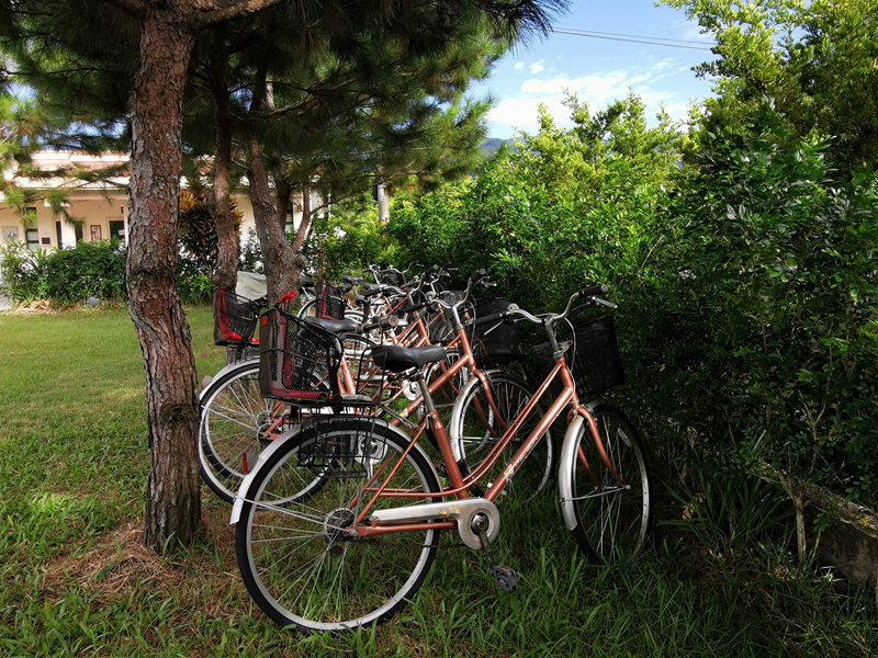 鹿野住宿新推薦!台東鹿野森活民宿,一次看到熱氣球、飛行傘,美景盡收眼底