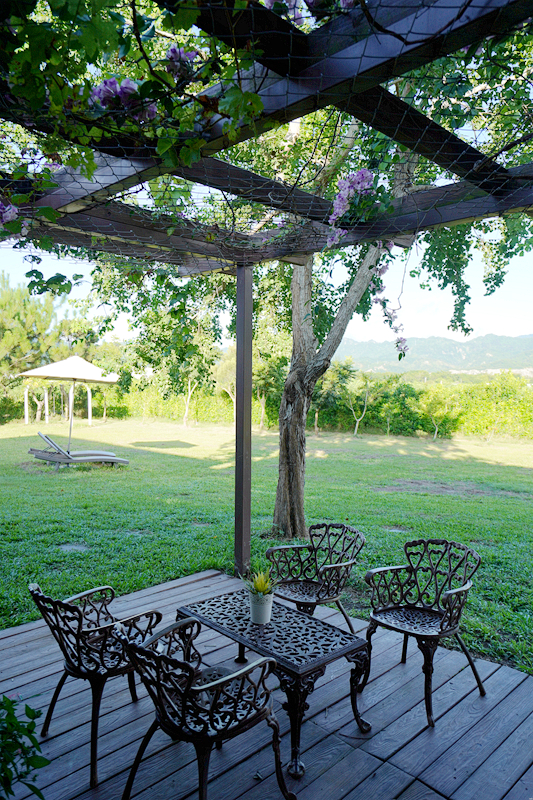 鹿野住宿新推薦!台東鹿野森活民宿,一次看到熱氣球、飛行傘,美景盡收眼底