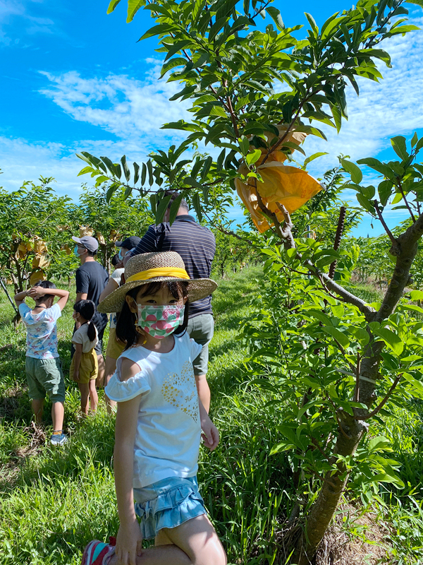 鹿野住宿新推薦!台東鹿野森活民宿,一次看到熱氣球、飛行傘,美景盡收眼底