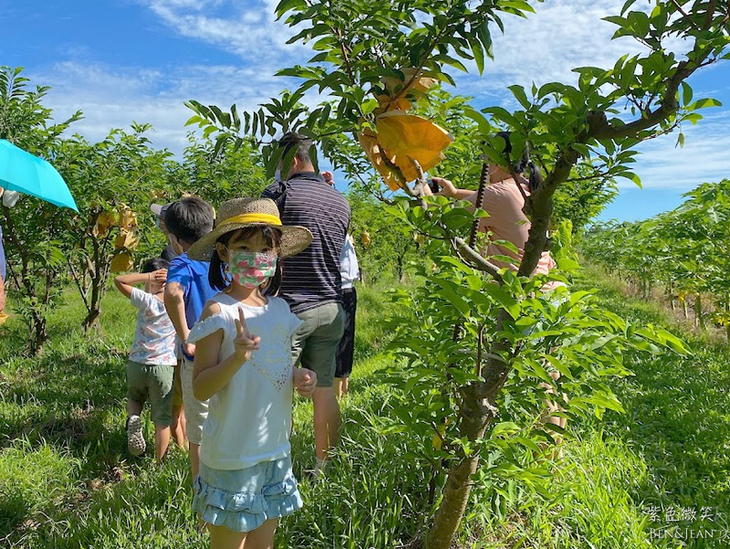 鹿野住宿新推薦!台東鹿野森活民宿,一次看到熱氣球、飛行傘,美景盡收眼底