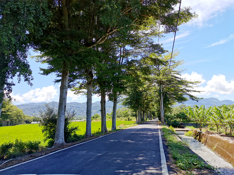 鹿野住宿新推薦!台東鹿野森活民宿,一次看到熱氣球、飛行傘,美景盡收眼底