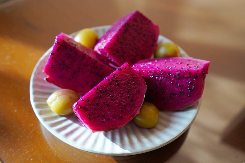 鹿野住宿新推薦!台東鹿野森活民宿,一次看到熱氣球、飛行傘,美景盡收眼底