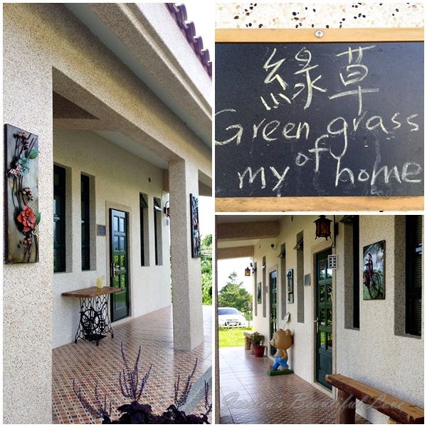 【台東鹿野】鹿野森活B&B民宿。綠草親子房~大草原奔跑+騎腳踏車逛田園+看熱氣球