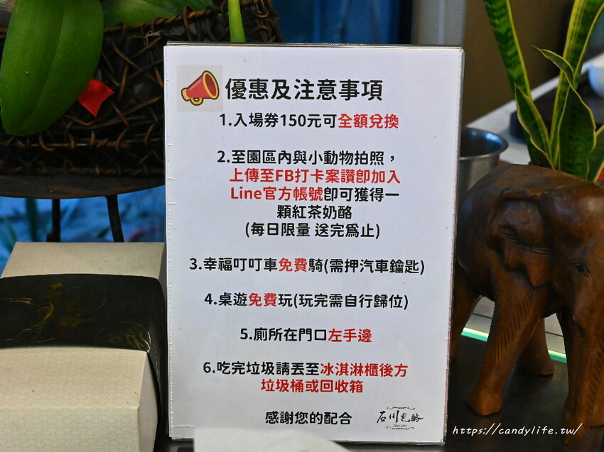 南投縣草屯鎮石川乳酪｜隱藏版南投景點，石川鹿生態觀光農場，免費乳酪試吃，還有可愛小羊、梅花鹿及小兔兔可以餵食