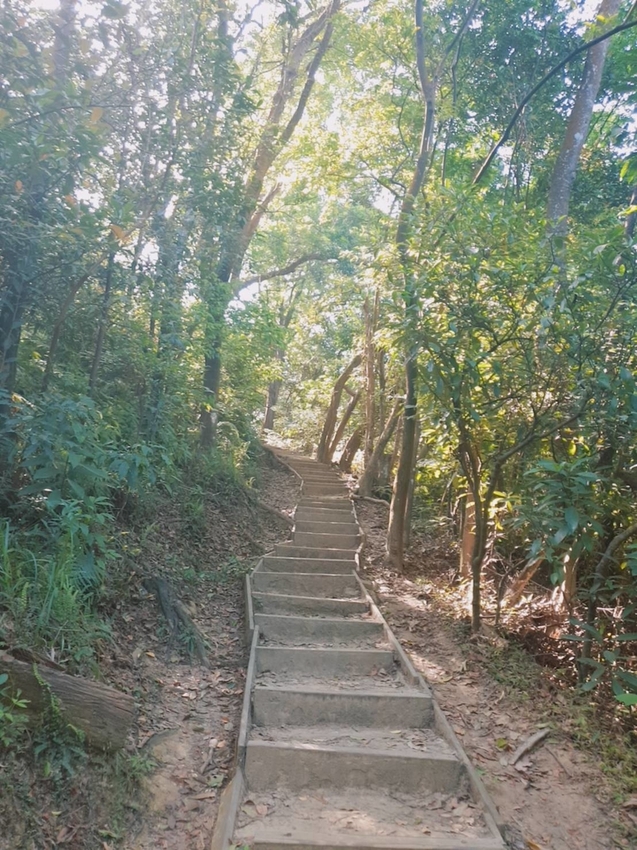 【台北.內湖】金面山步道剪刀石。辛巴蕊初次挑戰大岩壁。360度無死角觀看大台北盆地101+松山機場