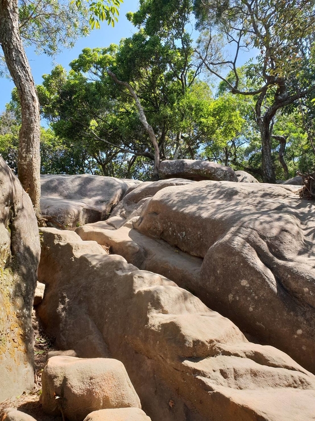 【台北.內湖】金面山步道剪刀石。辛巴蕊初次挑戰大岩壁。360度無死角觀看大台北盆地101+松山機場