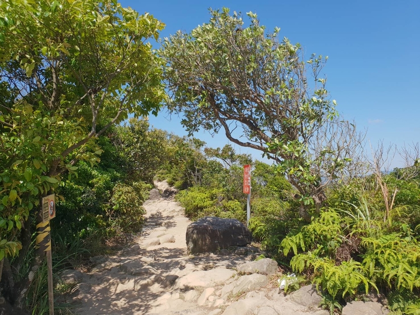 【台北.內湖】金面山步道剪刀石。辛巴蕊初次挑戰大岩壁。360度無死角觀看大台北盆地101+松山機場