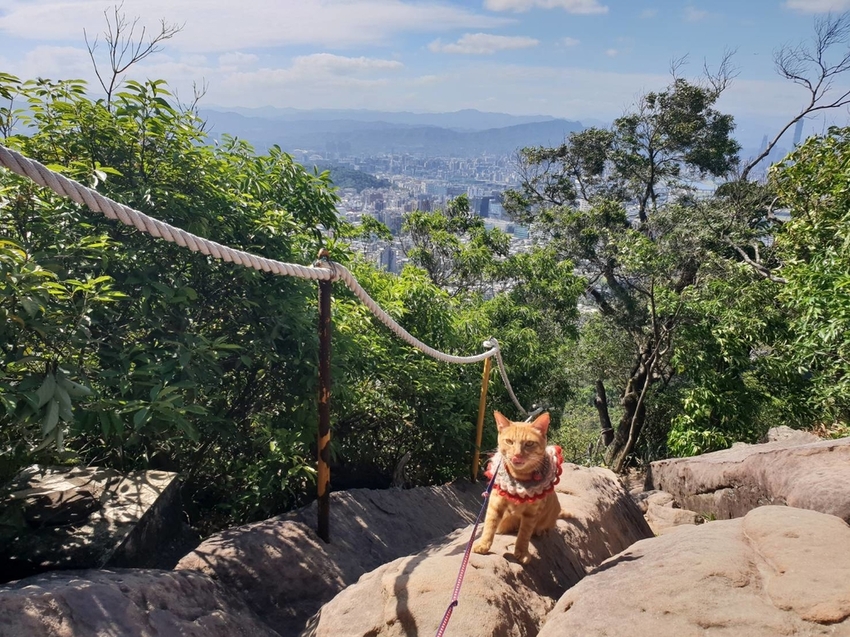 【台北.內湖】金面山步道剪刀石。辛巴蕊初次挑戰大岩壁。360度無死角觀看大台北盆地101+松山機場