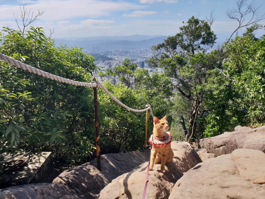 【台北.內湖】金面山步道剪刀石。辛巴蕊初次挑戰大岩壁。360度無死角觀看大台北盆地101+松山機場