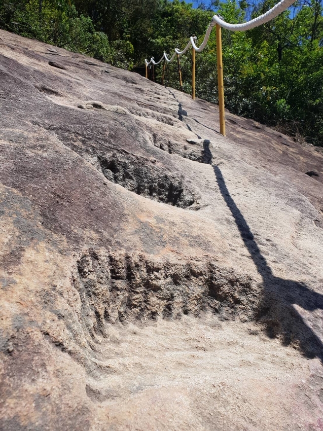 【台北.內湖】金面山步道剪刀石。辛巴蕊初次挑戰大岩壁。360度無死角觀看大台北盆地101+松山機場