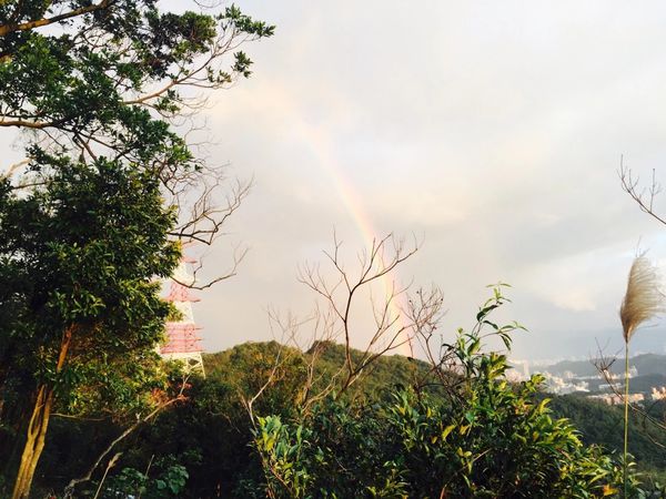 IMG_20161231_215026_455