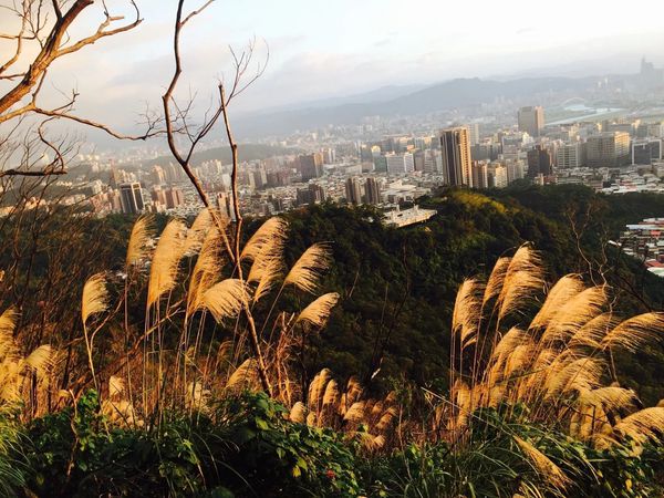 IMG_20161231_215334_727