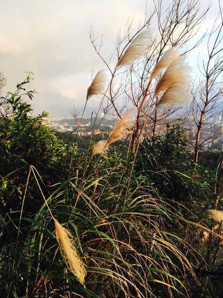 IMG_20161231_214824_366