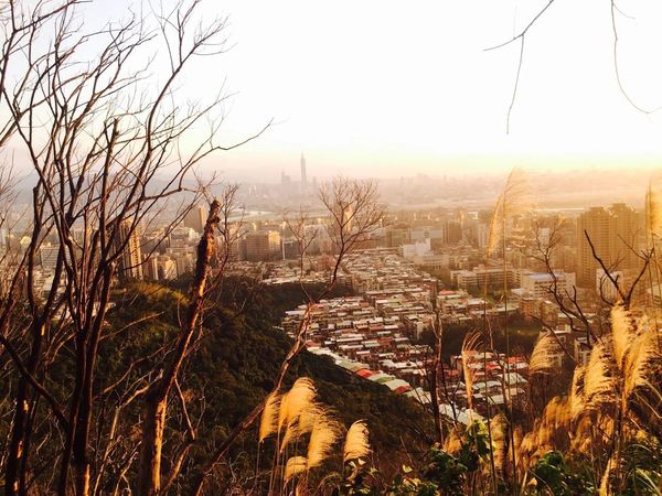 IMG_20161231_215043_854