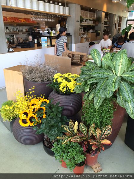 IMG_5867.JPG IMG_5867.JPG