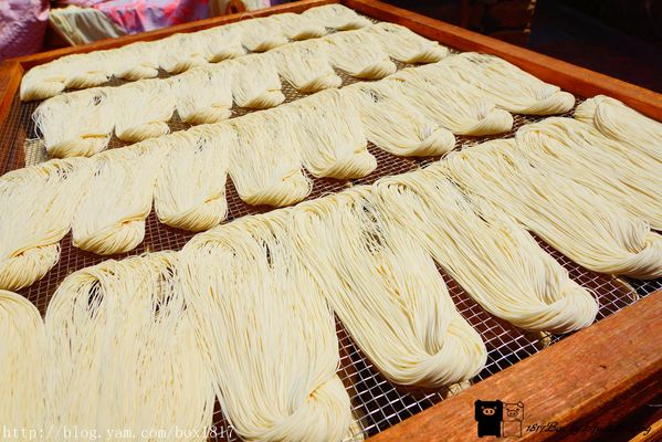 【金門。金寧】振揚製麵。古寧頭電瓶車遊程景點