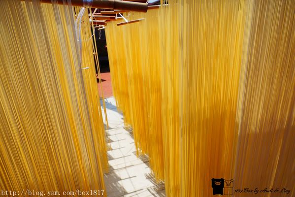 【金門。金寧】振揚製麵。古寧頭電瓶車遊程景點