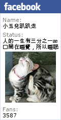 [台中美食] 豐原廟東清水排骨麵-大里店 |遵循古法製作，讓人品嘗到排骨的骨軟肉香以及湯頭的濃郁甘甜