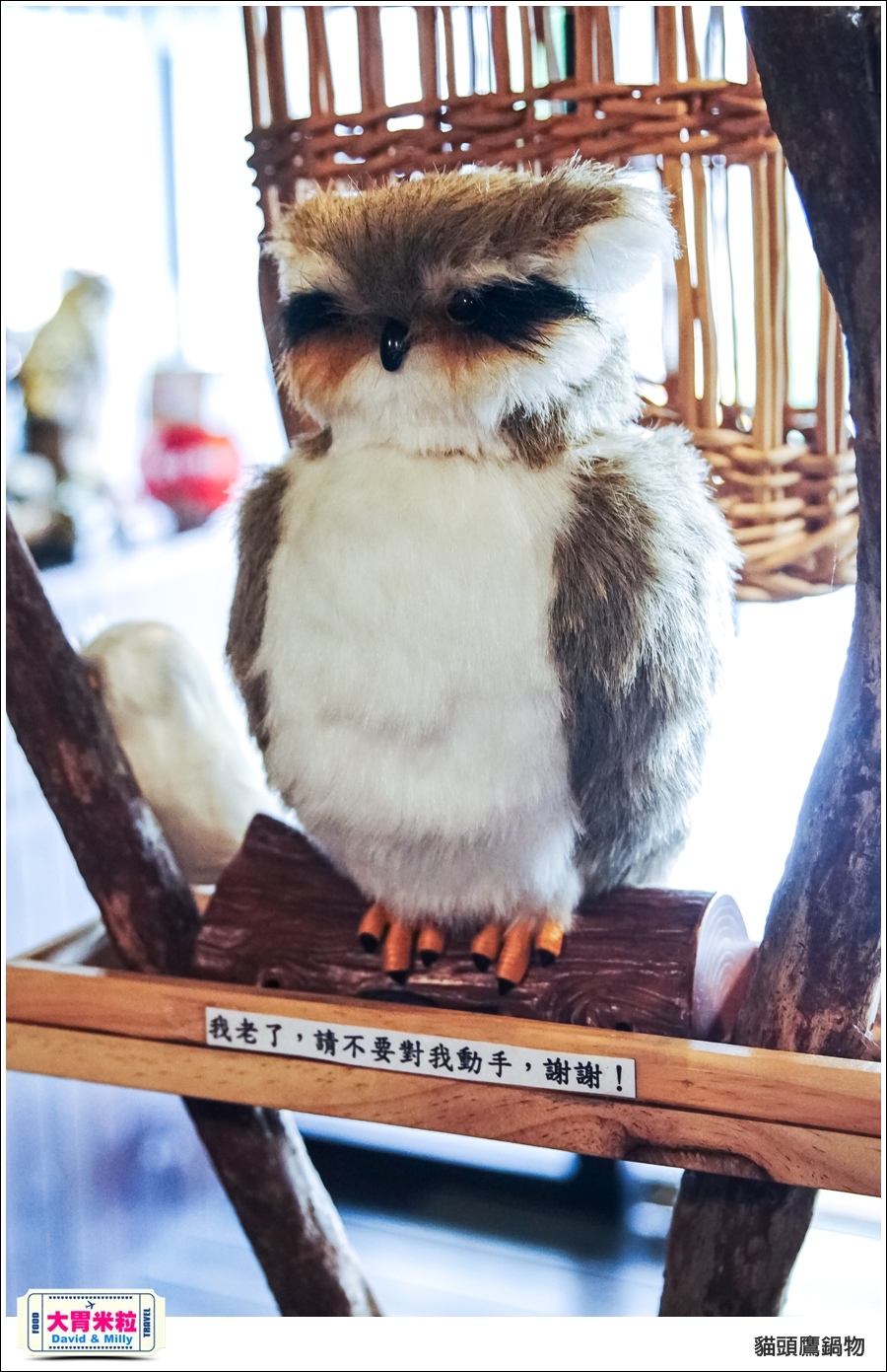 高雄鳳山火鍋推薦@貓頭鷹鍋物@大胃米粒 0005.jpg