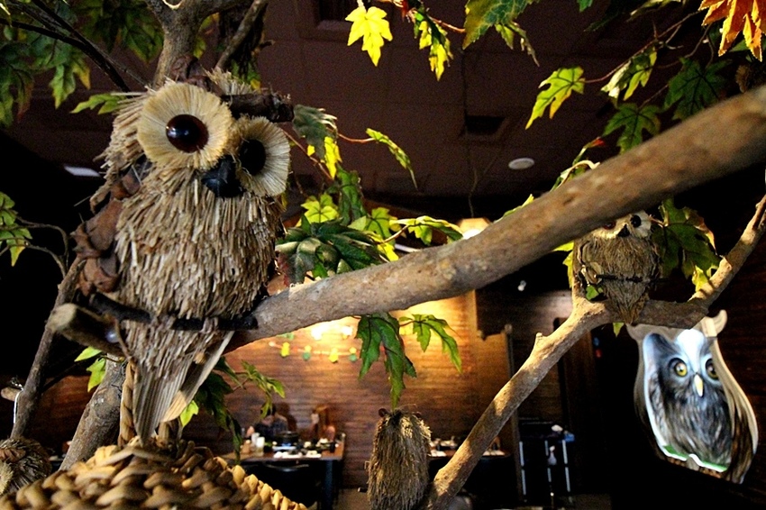 貓頭鷹鍋物 (26).JPG