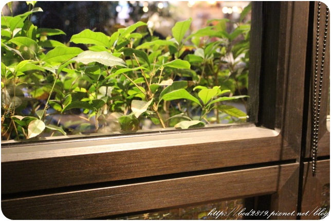 IMG_5428.JPG IMG_5428.JPG