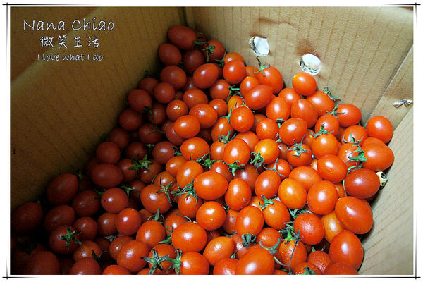 麻古茶坊 台中大里中興店20.jpg