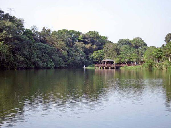 【桃園景點】三坑自然生態公園-隱身在山凹中的美麗湖景