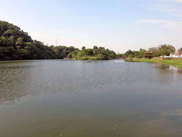 【桃園景點】三坑自然生態公園-隱身在山凹中的美麗湖景
