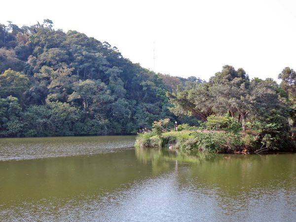 【桃園景點】三坑自然生態公園-隱身在山凹中的美麗湖景