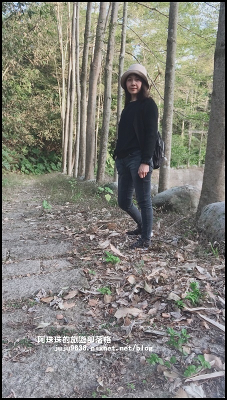 小葉欖仁秘境步道1.JPG