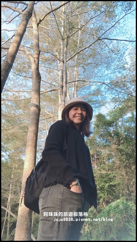 小葉欖仁秘境步道13.JPG