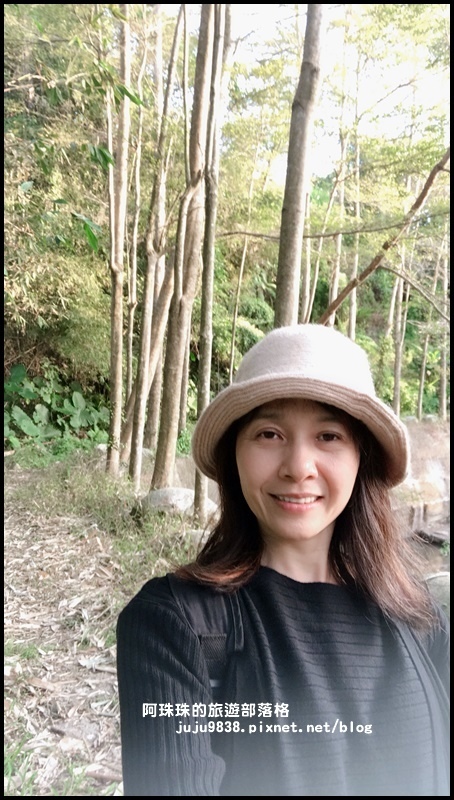 小葉欖仁秘境步道5.JPG