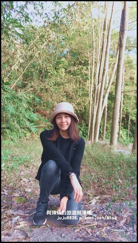 小葉欖仁秘境步道3