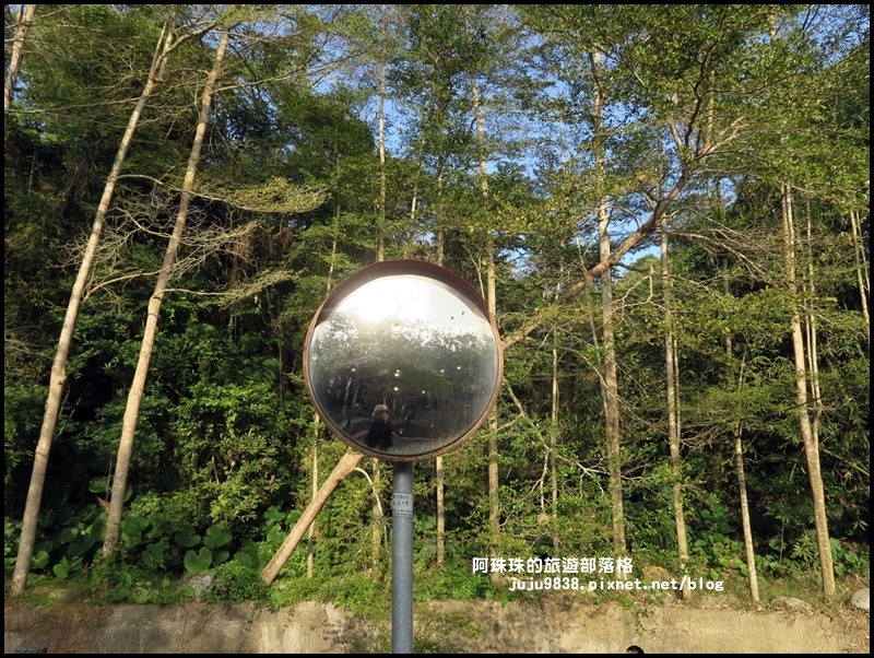 小葉欖仁秘境步道21.JPG