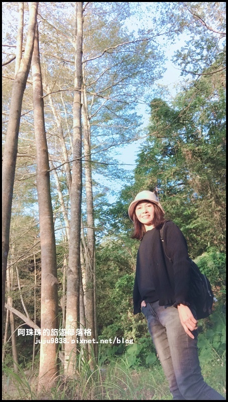 小葉欖仁秘境步道12.JPG