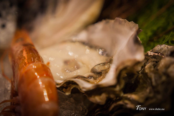 IMG_4902.jpg IMG_4902.jpg