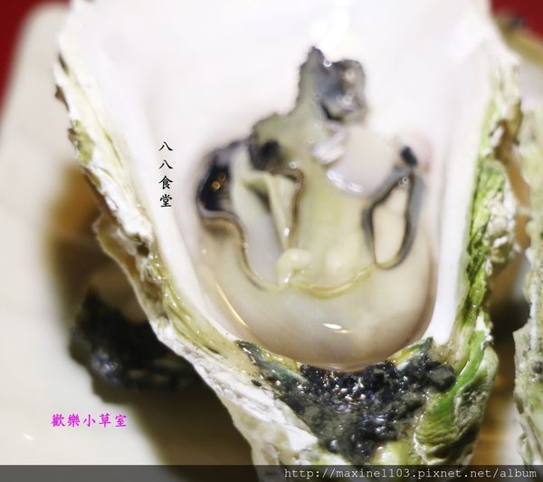 IMG_1526.JPG IMG_1526.JPG