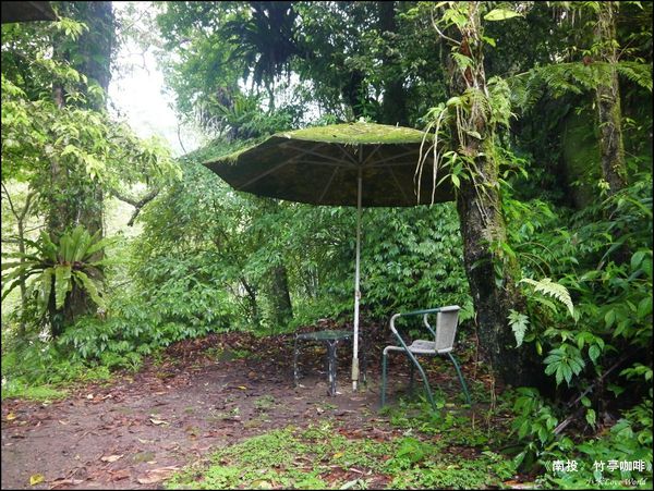 南投竹亭咖啡P1540731_調整大小1.JPG