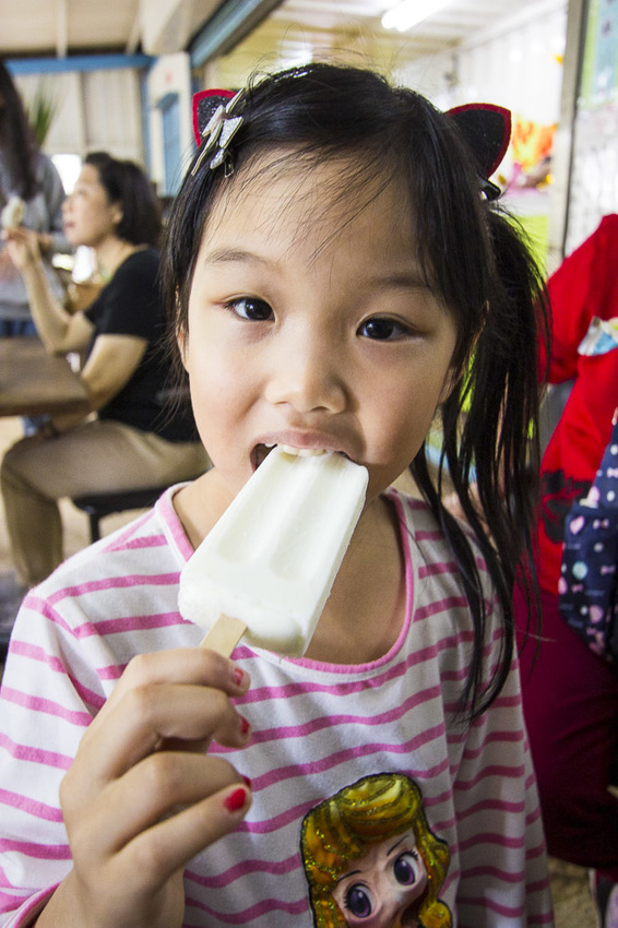 【台中親子景點】台中免門票景點｜益健乳羊牧場～市區就能餵羊、餵雞，牧草飼料只需20元