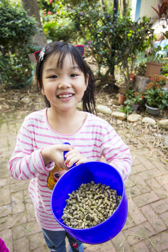 【台中親子景點】台中免門票景點｜益健乳羊牧場～市區就能餵羊、餵雞，牧草飼料只需20元