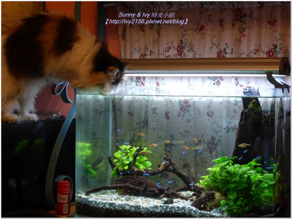 20131231 173.jpg 20131231 173.jpg