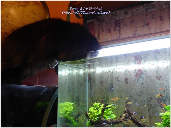 20131231 170.jpg 20131231 170.jpg