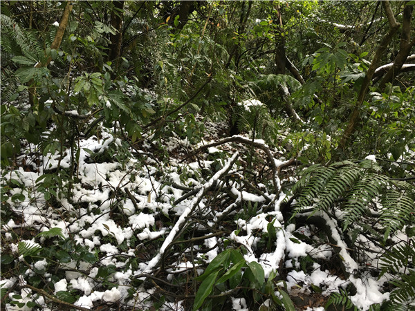 IMG_4102.JPG IMG_4102.JPG