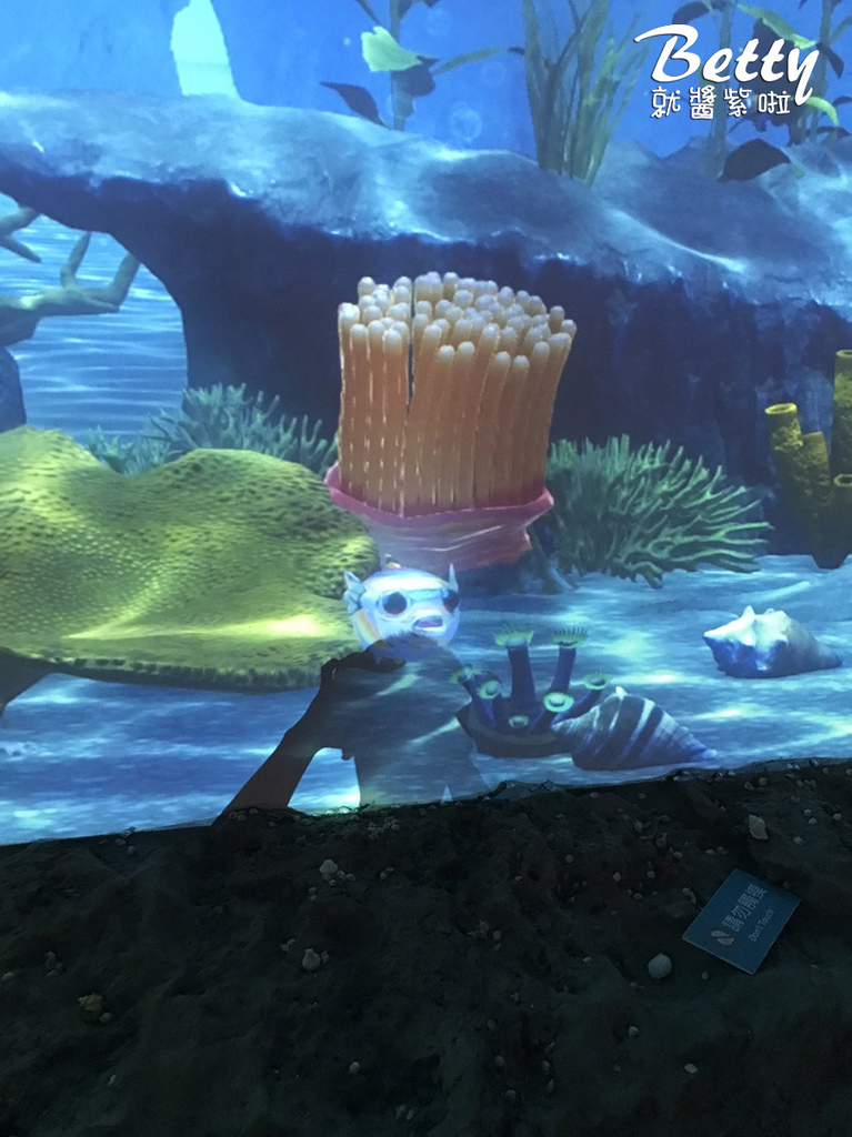 苗栗尚順育樂世界  (117).jpg